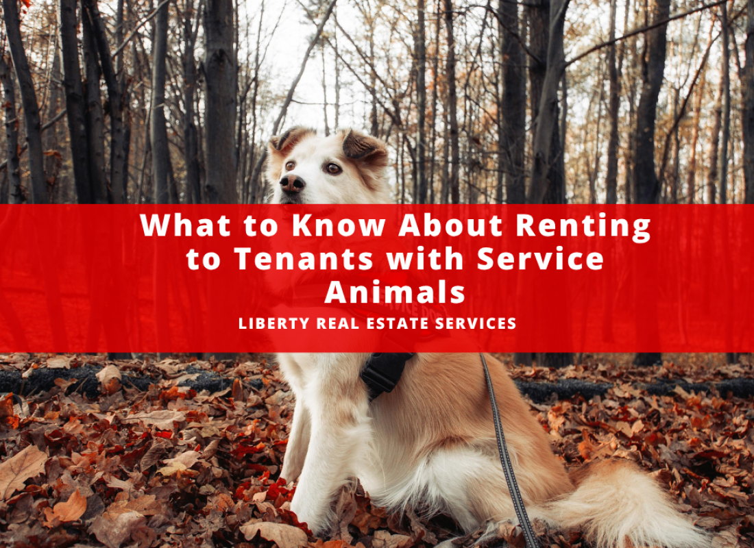 What to Know About Renting to Tenants with Service Animals